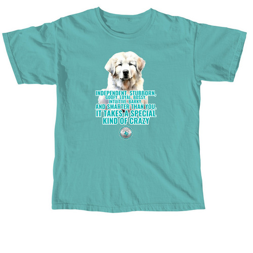 TGPR 25th Anniversary Ts #4: Kind of Crazy, a Seafoam Comfort Colors Unisex Tee