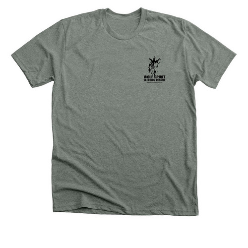 WSSDR HALLOWEEN #2, a Deep Heather Premium Unisex Tee