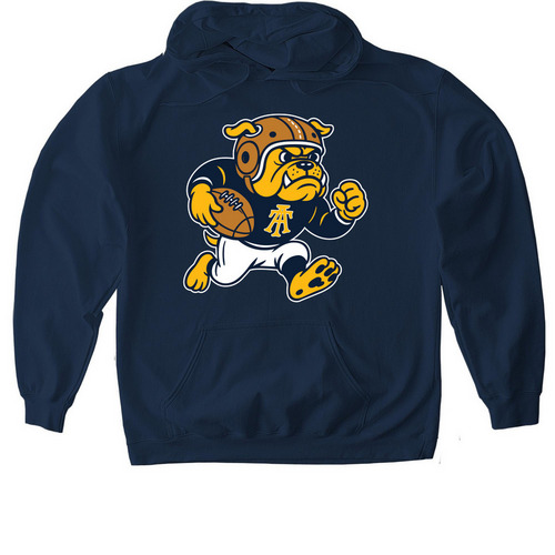 Vintage Pride, a Navy Gildan Softstyle Pullover Hoodie