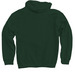 Pollinator Steward Certified!, a Forest Green Pullover Hoodie (back-view)