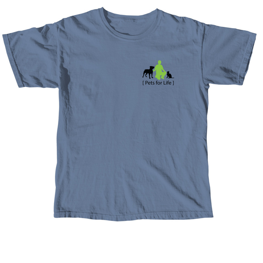 PFL MISC CAMPAIGN, a Blue Jean Comfort Colors Unisex Tee
