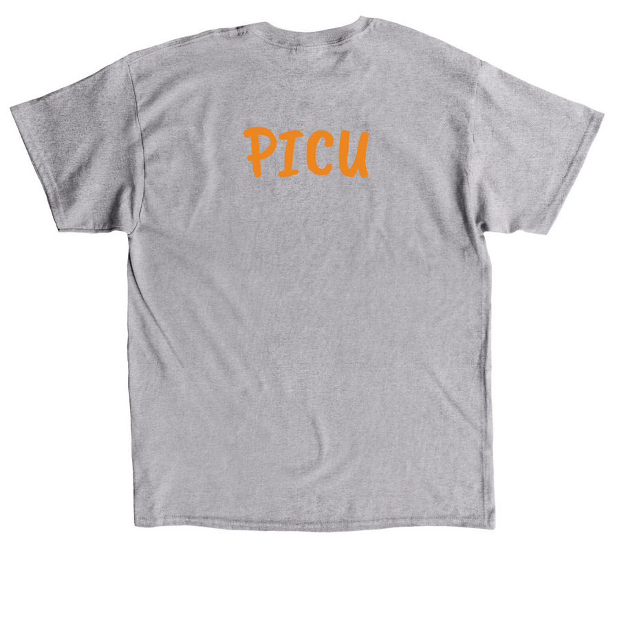 Winter 2025, a Sport Grey Classic Unisex Tee (back-view)