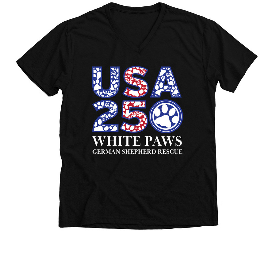 WPGSR ~ USA 250 Line, a Solid Black Blend Premium V-Neck Tee