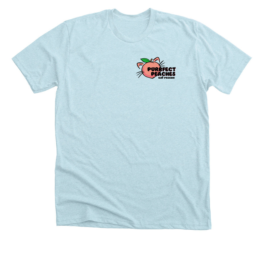 Color Logo - Front and Back, a Heather Ice Blue Premium Unisex Tee