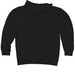 DCN Box Logo, a Black Midweight Pullover Hoodie (back-view)