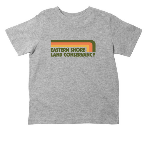 Toddler Tee, a Heather Toddler Tee