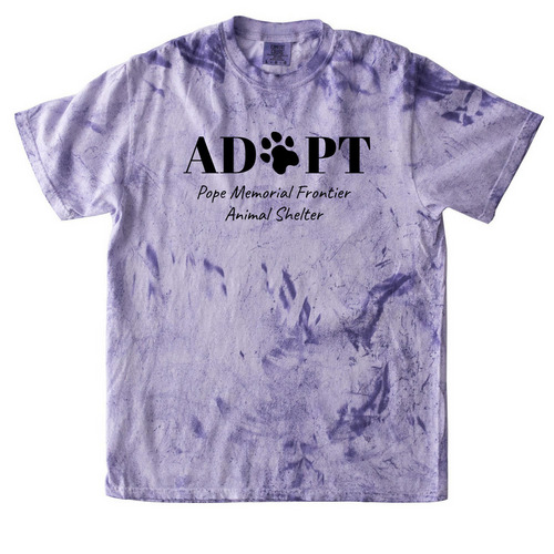 PMFAS Diva Shirts&nbsp;, a Amethyst Comfort Colors Colorblast Tee