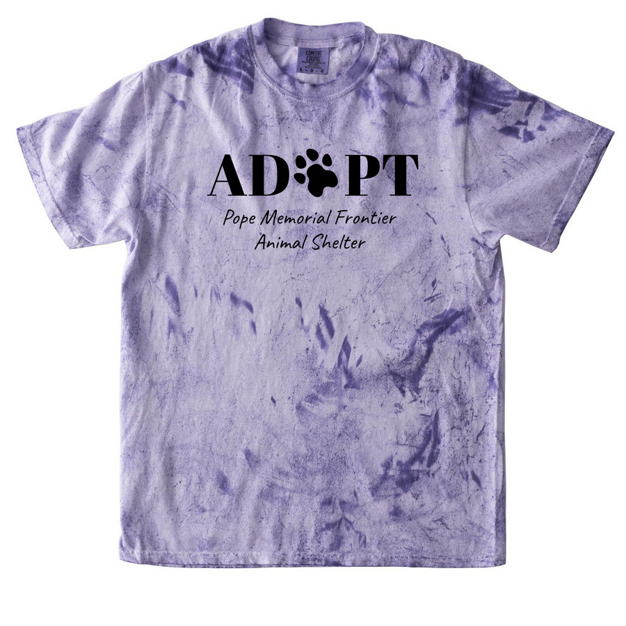 PMFAS Diva Shirts&nbsp;, a Amethyst Comfort Colors Colorblast Tee