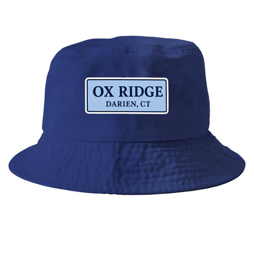 Ox Hats, a Royal Blue Printed Bucket Hat