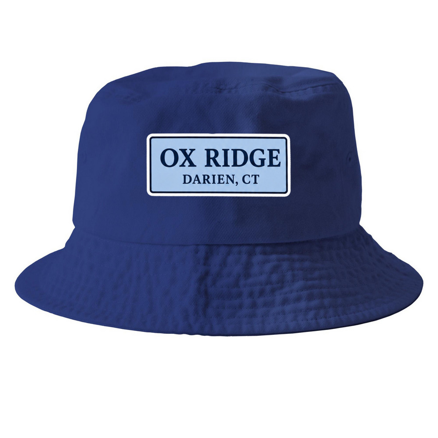 Ox Hats, a Royal Blue Printed Bucket Hat