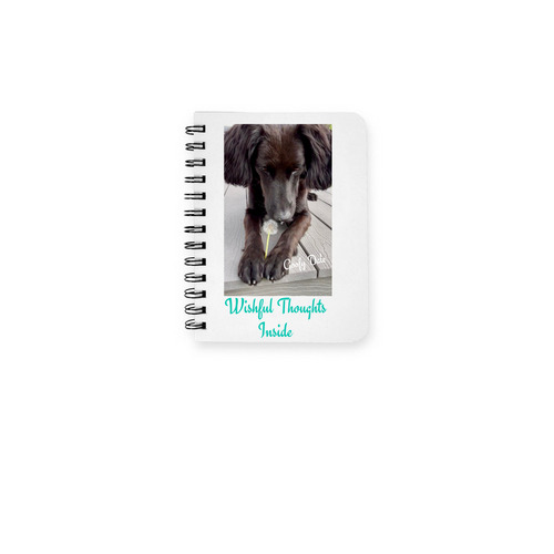 Wishful Thoughts Inside journal, a White Spiral Notebook