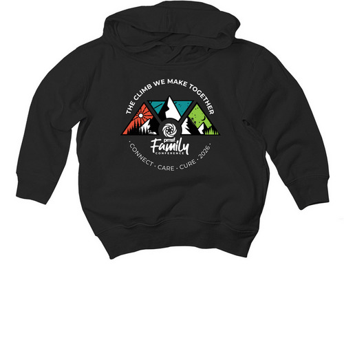 Conference Toddler, a Black Toddler Pullover Hoodie