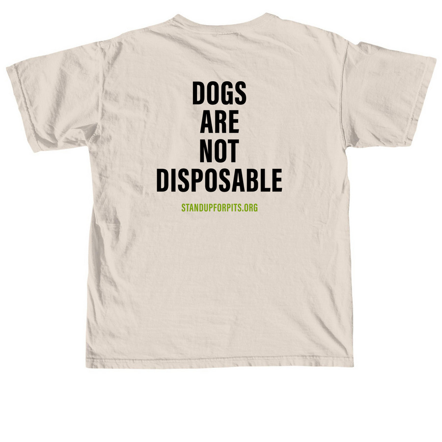 BORN INHERENTLY GOOD - ANGEL, a Ivory Comfort Colors Unisex Tee (back-view)