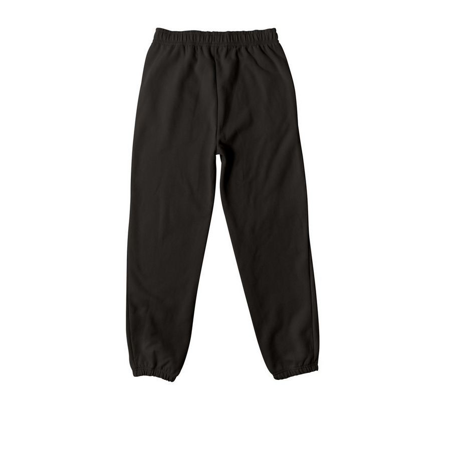Trident Pants, a Black Premium Heavyweight Jogger (back-view)