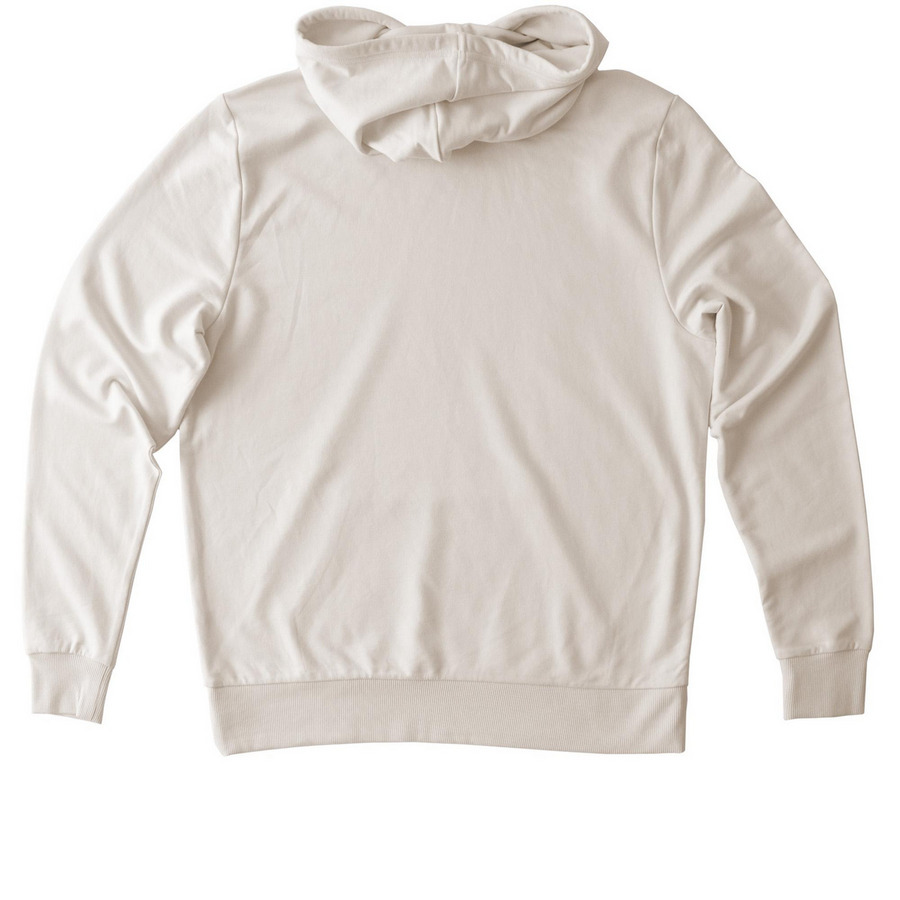 Ornate Box Turtle, a White Sand Allmade Organic French Terry Pullover Hoodie (back-view)