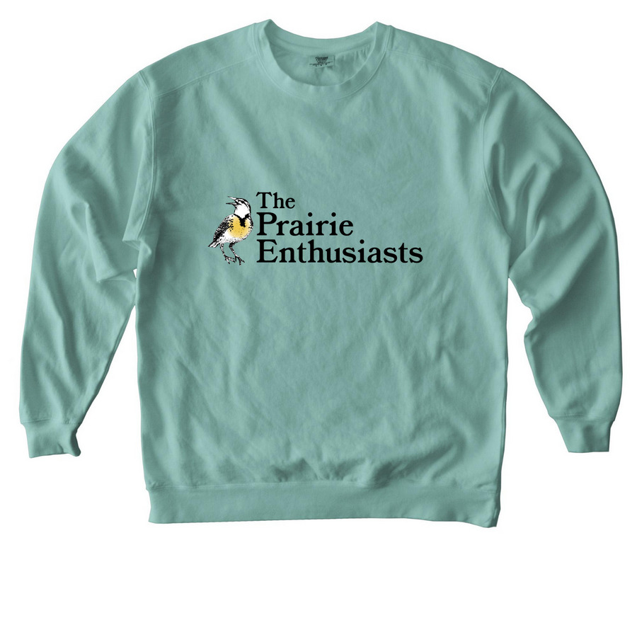 Crewneck Sweatshirt, a Seafoam Comfort Colors Crewneck Sweatshirt