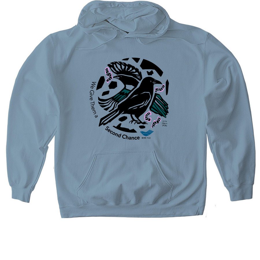 We Give Them a Second Chance, a Stone Blue Gildan Softstyle Pullover Hoodie