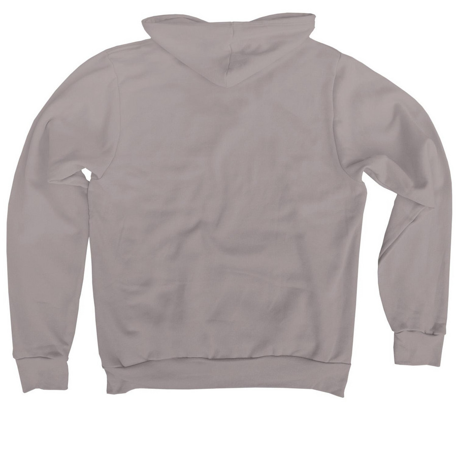 The Wooden Floor Logo Dark Gray, a Storm Premium Pullover Hoodie (back-view)