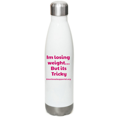 Beyond_chandra, a White Stainless Steel Water Bottle