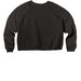 STXBP1 Friends, a Black Women's Premium Cropped Raglan Sweatshirt (back-view)