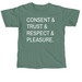 Safe & Satisfying, a Light Green Comfort Colors Unisex Tee