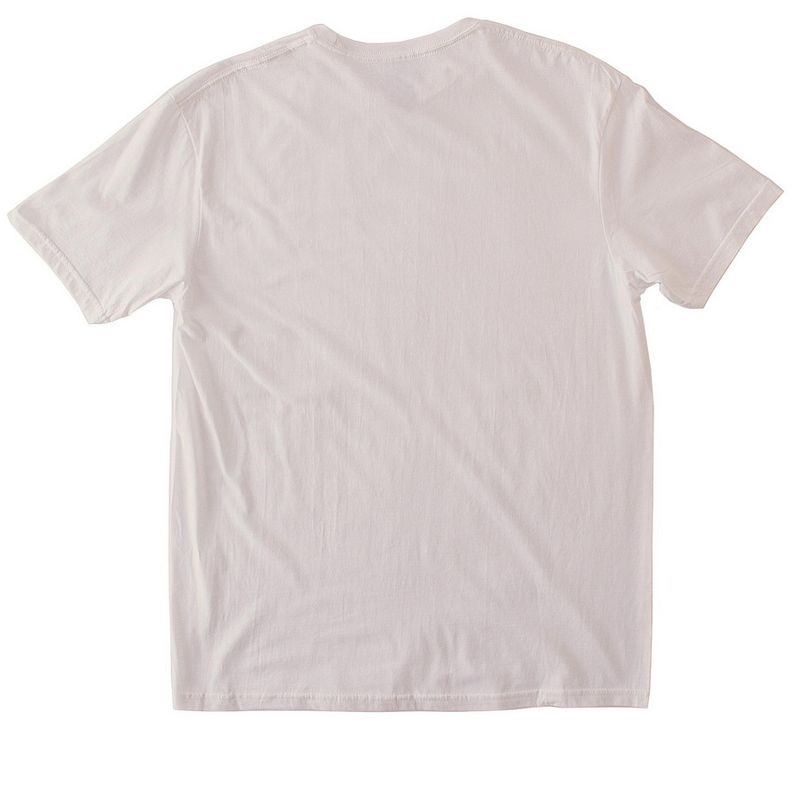 Classic Roesland White, a Ice Grey Softstyle Cotton Tee (back-view)