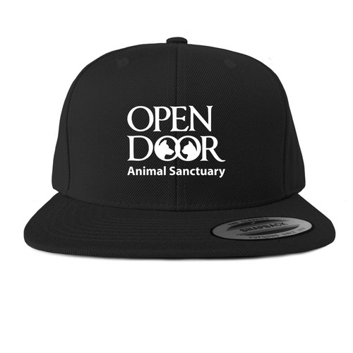 Open Door Hats, a Black Snapback Hat
