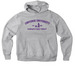Pt 2 Converse DK Hoodie Sale, a Athletic Heather Premium Heavyweight Pullover Hoodie