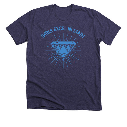Girls Excel in Math, a Heather Lapis Premium Unisex Tee