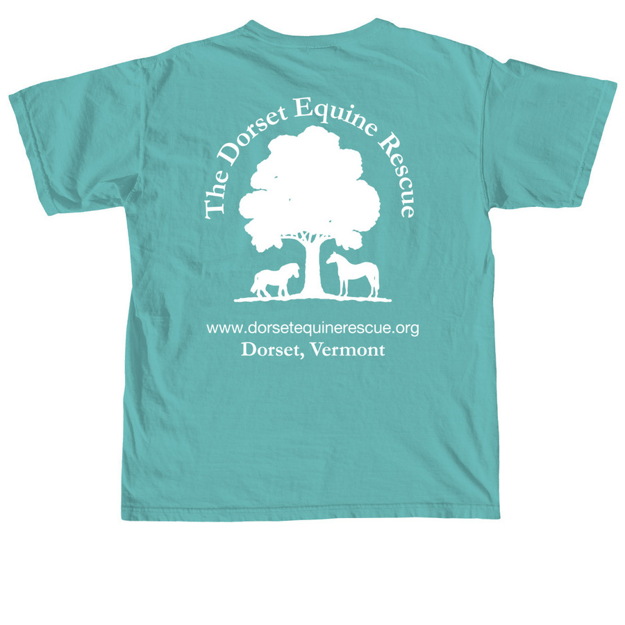 The Dorset Equine Rescue Apparel Fundraiser, a Seafoam Comfort Colors Unisex Tee (back-view)