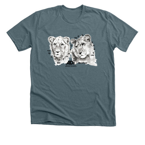 BenTzur & Ori, a Heather Slate Premium Unisex Tee