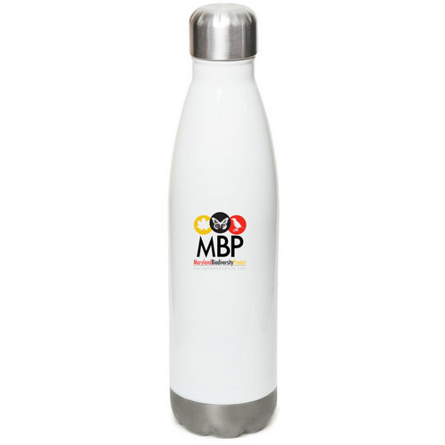 Stainless Steel Water Bottle, a White Stainless Steel Water Bottle