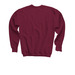 Walden's Puddle Black Vulture, a Maroon Youth Crewneck Sweatshirt (back-view)