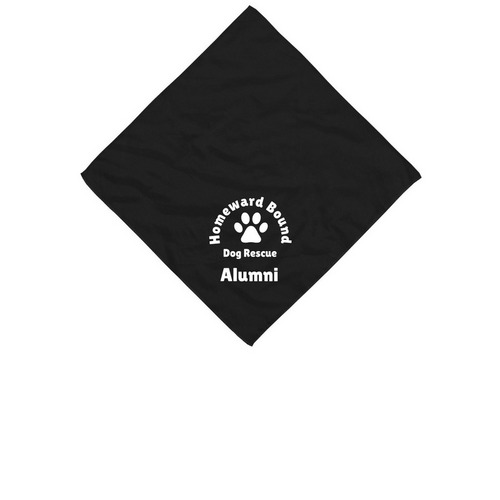 Alumni Bandanas ?, a Black Cotton Bandana
