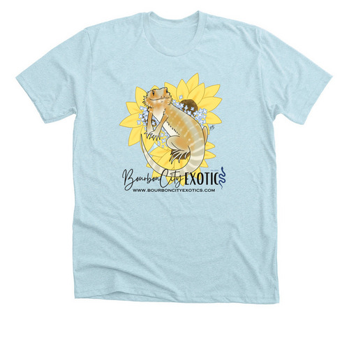 Sunshine and Dragons, a Heather Ice Blue Premium Unisex Tee