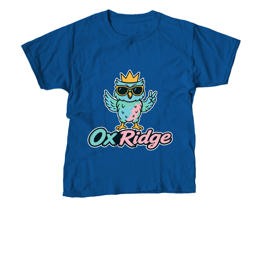 Cool Hootie, a Royal Blue Youth Unisex Tee