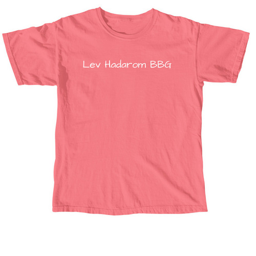 Home And My Heart Levly T-shirt, a Watermelon Comfort Colors Unisex Tee