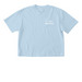 Set Apart Social Club In Color, a Chambray Comfort Colors Boxy Tee