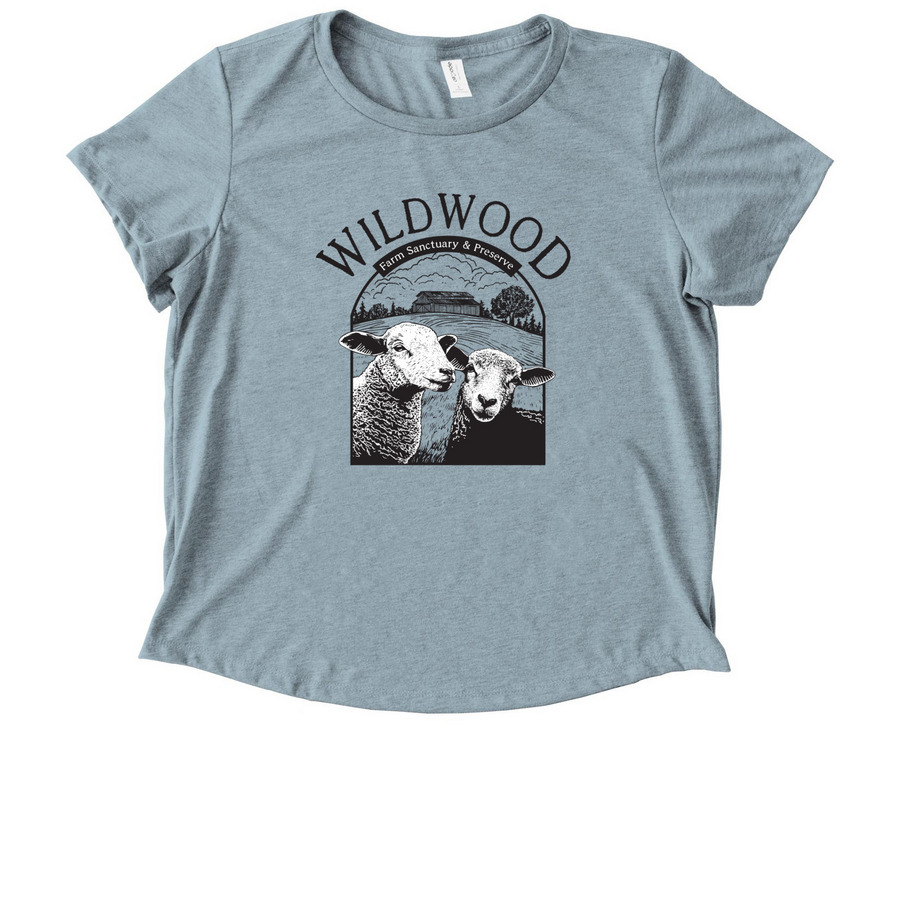 Limited Edition Lamb Design, a I Like You Blue Allmade Eco Triblend Women?s Scoop Neck Tee