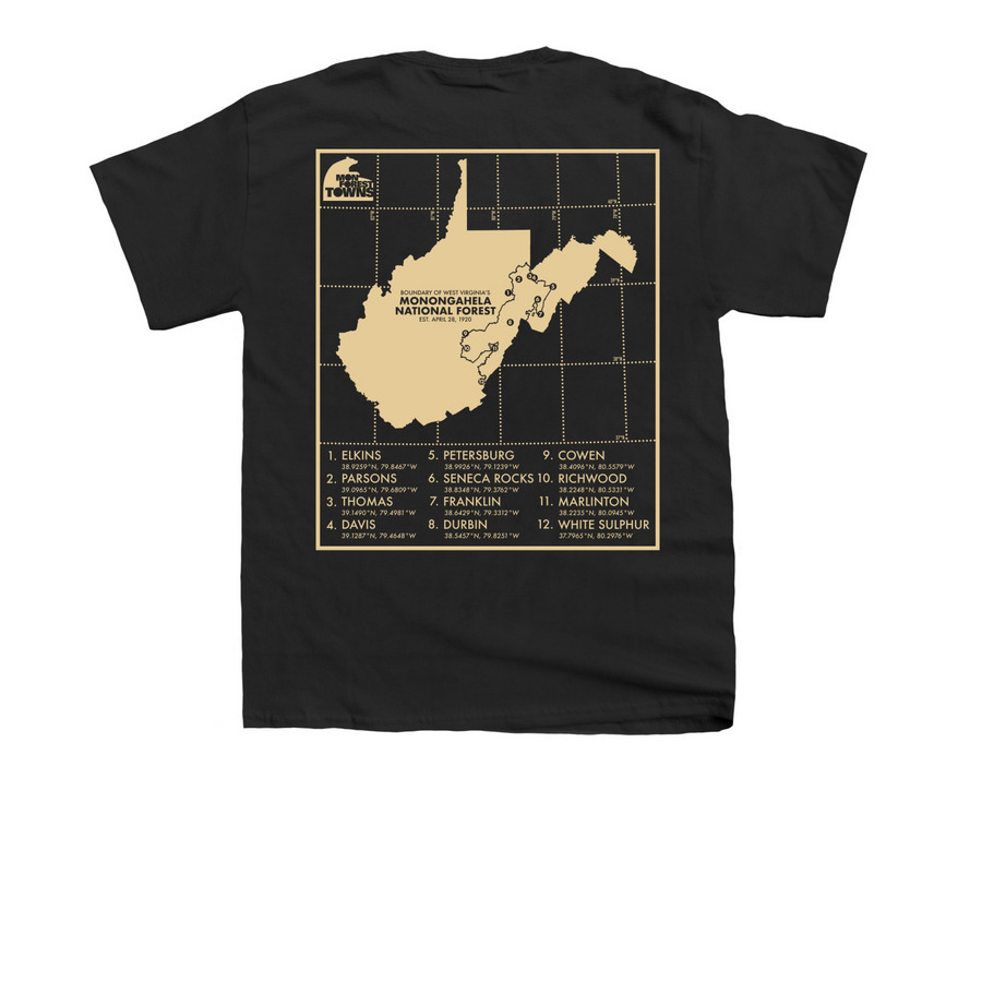 Towers and Trees Tee, a Black Youth Unisex Tee (back-view)