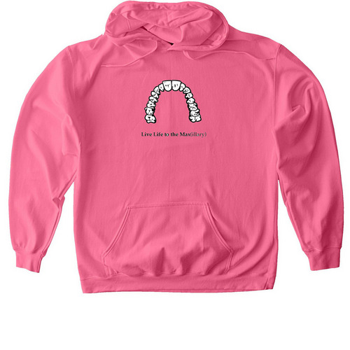 Dental Hygiene Class of 2027, a Pink Lemonade Softstyle Pullover Hoodie