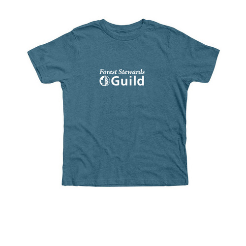 Youth tee, a Heather Deep Teal Premium Youth Tee