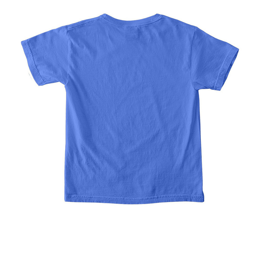 Peter Fan Club Shirt, a Flo Blue Comfort Colors Youth Tee (back-view)