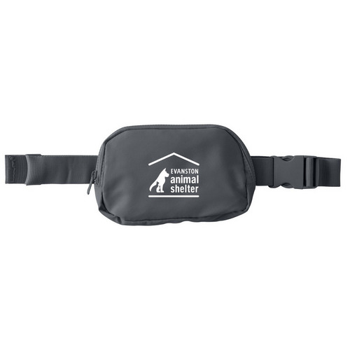 EAS Treat Pouch, a Storm Grey Matte Hip Pack