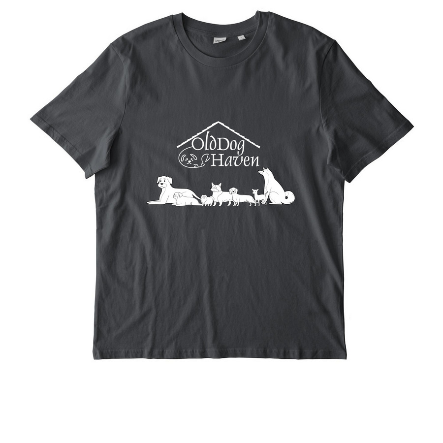 Old Dog Haven, a Anthracite Stanley/Stella Unisex Creator 2.0 Tee