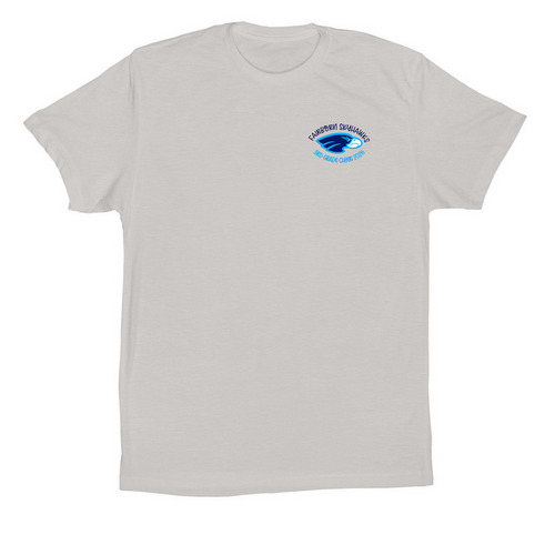 3rd Grade Cheer Team Shirt, a Solid Athletic Grey Premium Cotton Tee