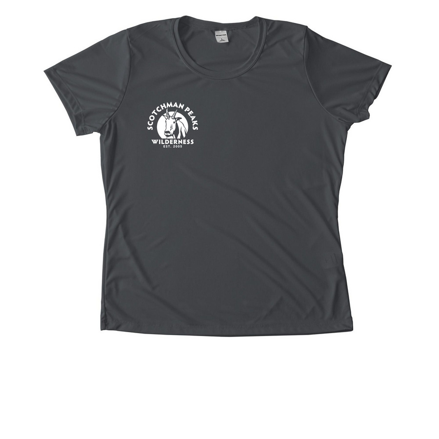 Performance Tees and Sun Hoodies, a Iron Grey Women's Performance Tee
