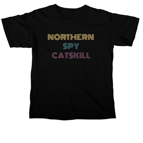 Northern Spy Disco T-Shirt, a Black Comfort Colors Unisex Tee
