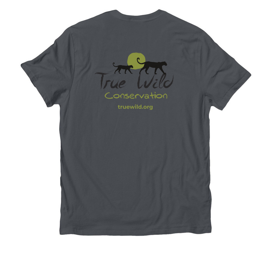Be Bold, a Terrain Grey Allmade Organic Cotton Unisex Tee (back-view)