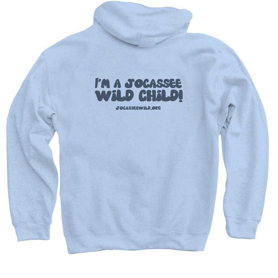 Original Odyssey Logo Swag, a Light Blue Pullover Hoodie (back-view)